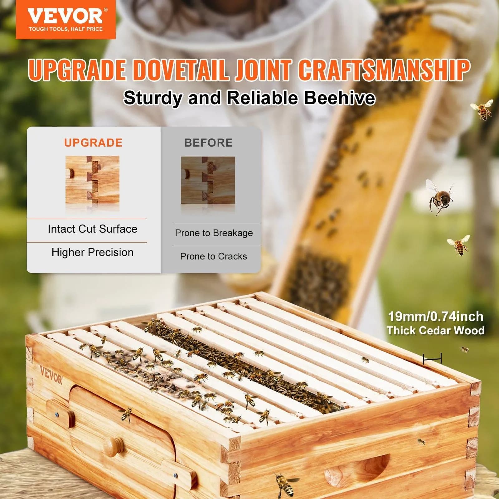 image-VEVOR Bee Hive Medium Box Starter Kit, 100% Beeswax Coated Natural Cedar Wood, Langstroth Beehive Kit with 10 Frames and Foundations, Transparent Acrylic Bee Windows for Beginners and Pro Beekeepers