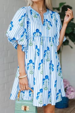 image-Sky Blue Floral Striped Print Tie Notched Neck Puff Sleeve Flared Mini Dress