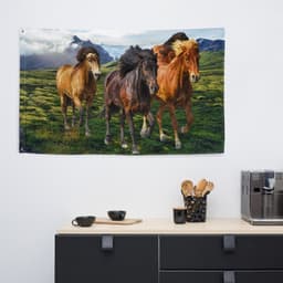 image-Mountian Horse Painting Flag Tapestry