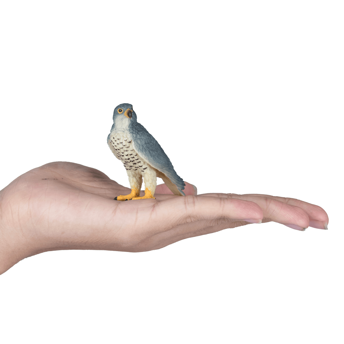image-Peregrine Falcon Toy Realistic Bird of Prey Model