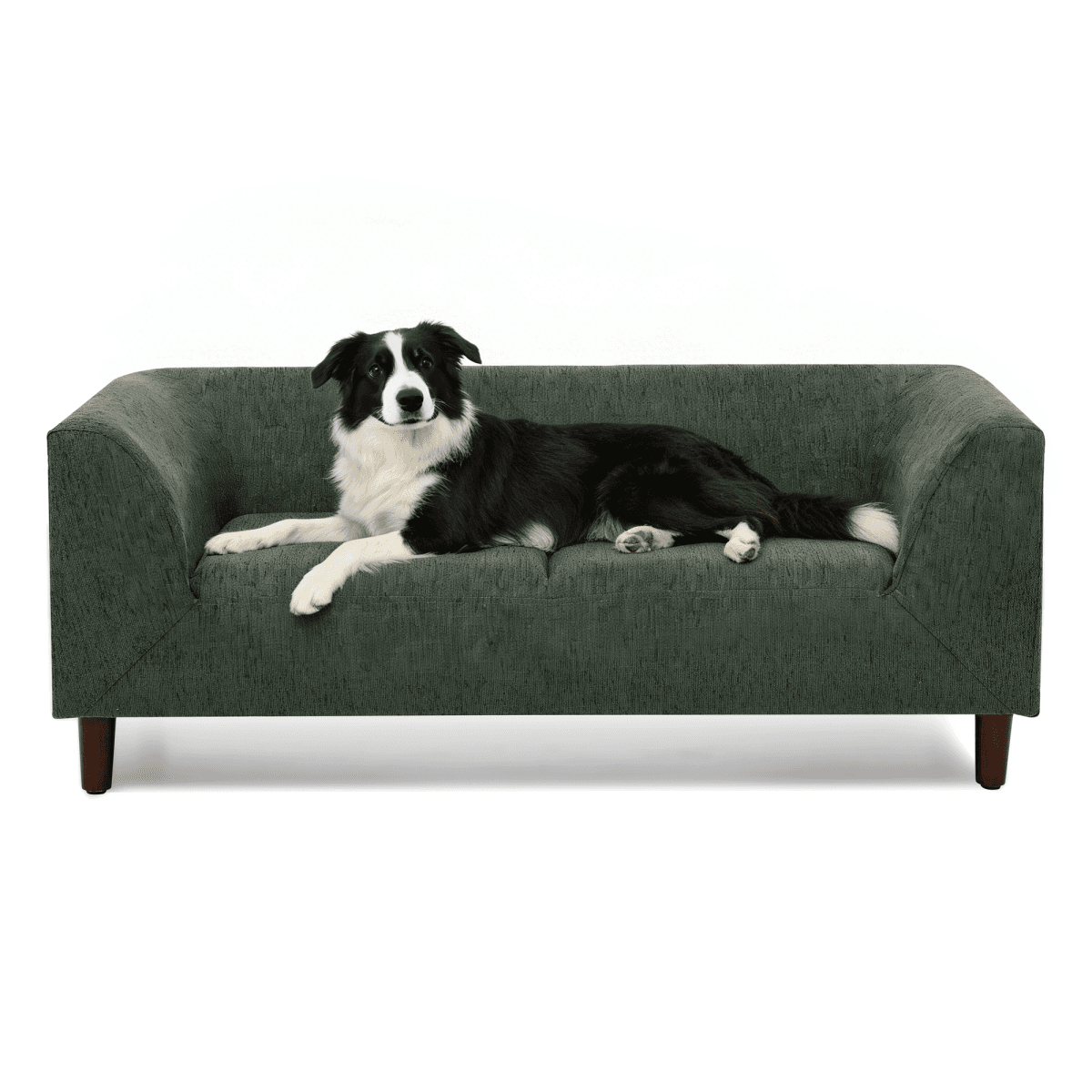 image-Pet sofa with backrest and armrests, modern rectangular pet sofa suitable for small and medium dogs, soft cushion comfortable dog sofa,-OLIVE GREEN