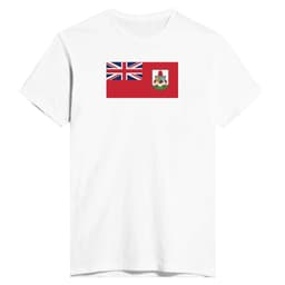 image-Drapeau des Bermudes - T-shirt ajusté pour homme | Next Level 3600