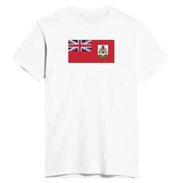 image-Drapeau des Bermudes - T-shirt ajusté pour homme | Next Level 3600