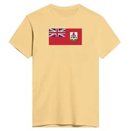 image-Drapeau des Bermudes - T-shirt ajusté pour homme | Next Level 3600