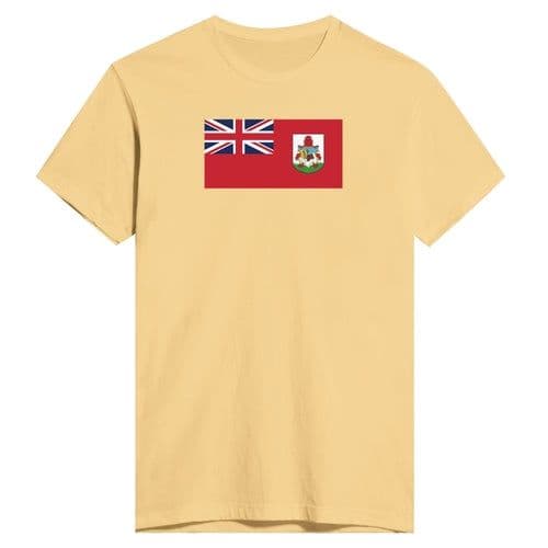 image-Drapeau des Bermudes - T-shirt ajusté pour homme | Next Level 3600