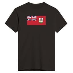 image-Drapeau des Bermudes - T-shirt ajusté pour homme | Next Level 3600
