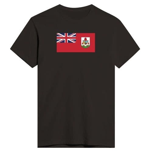 image-Drapeau des Bermudes - T-shirt ajusté pour homme | Next Level 3600