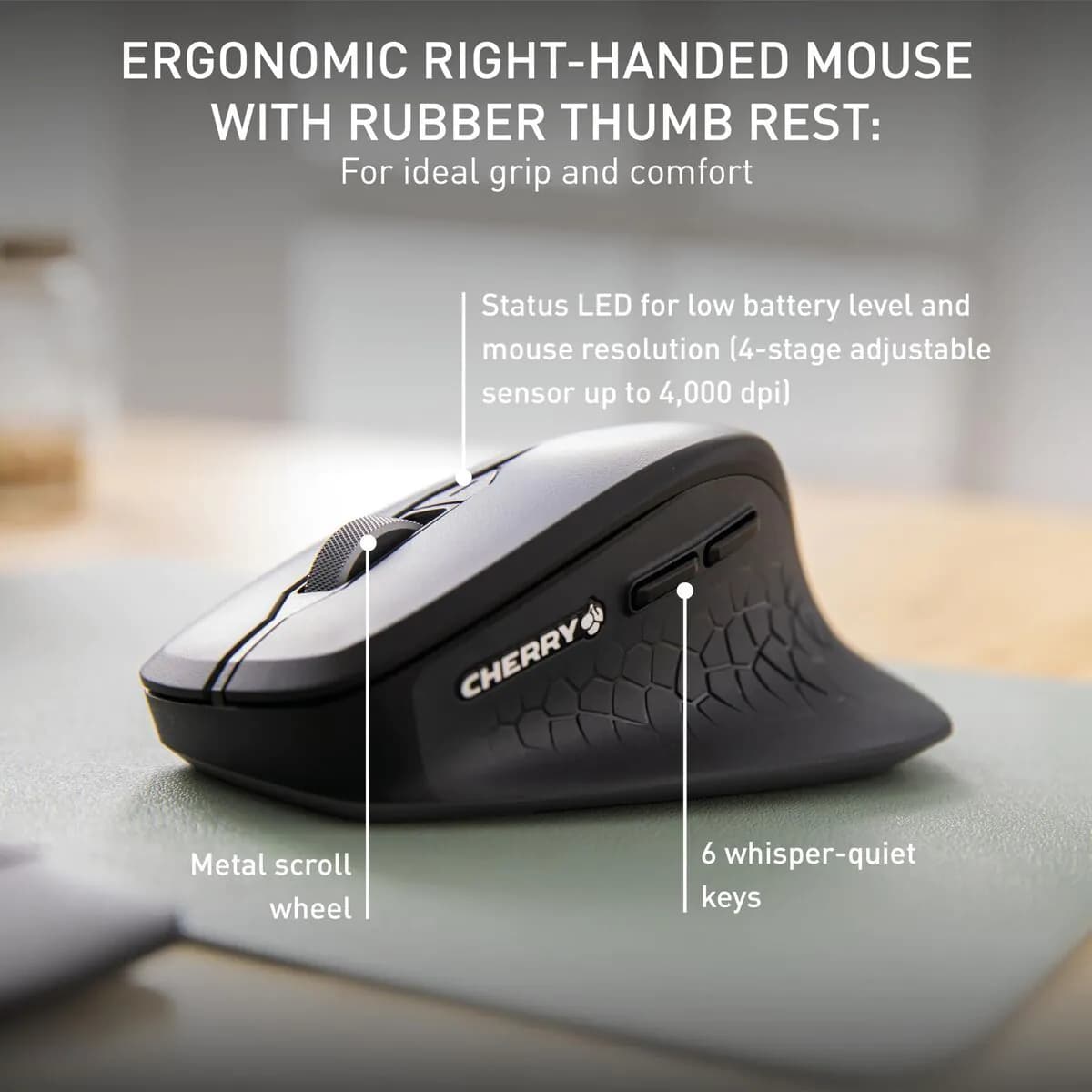 image-Keyboard and Mouse Cherry JD-8550ES-2 Black Spanish QWERTY
