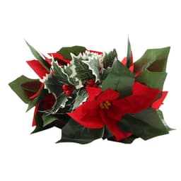 image-Led First Grade Christmas Lights With Red Flowers And Red Fruits For Home Decor