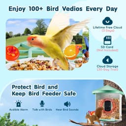 image-VEVOR Smart Bird Feeder with Camera, 2K HD AI Identify 10,000+ Bird Species, Solar-Powered Bird Watching Camera with Auto Capture & Instant Notify, Wireless Outdoor Ideal Gift for Bird Lovers (Green)