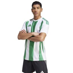 image-Adidas Striped 24 JSY M T-shirt IW2148