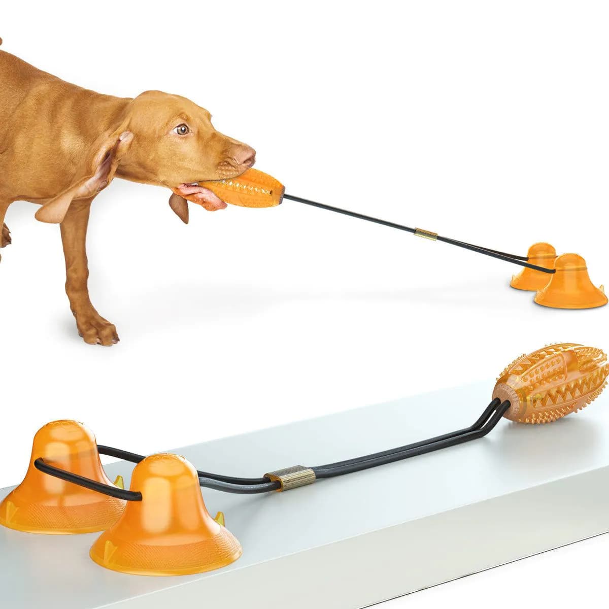 image-Multifunction Double Tug Rope Balls Sucker Toy Dog Molar Bite Toys
