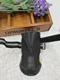 image-Pet shoes wear dog shoes