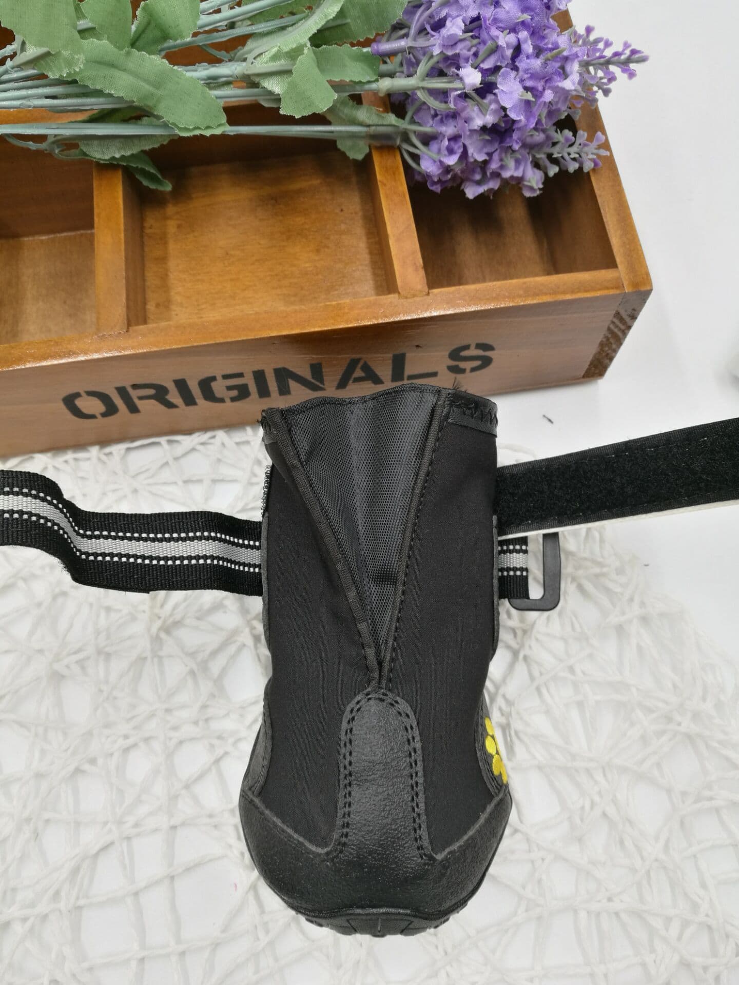 image-Pet shoes wear dog shoes