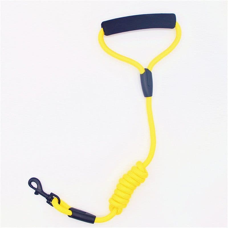 image-Dog Leash Teddy Leash Cat Golden Retriever Labrador Husky Puppy Dog Leash Anti-strangle
