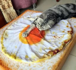 image-Love In The City Poached Egg Plush Pet Mat 47x43cm