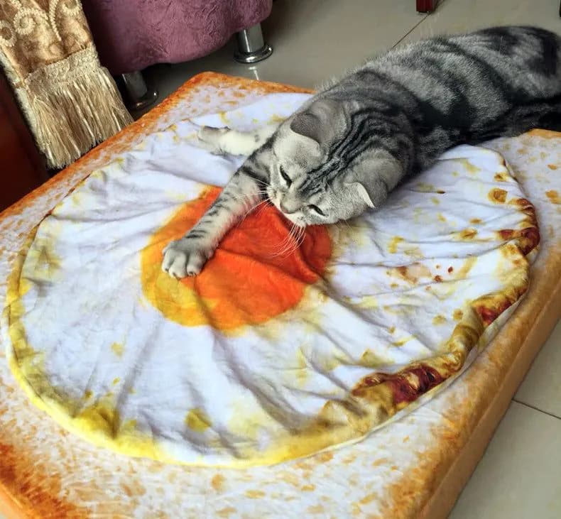 image-Love In The City Poached Egg Plush Pet Mat 47x43cm
