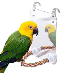 image-Parrot Toy Acrylic Bird With Mirror