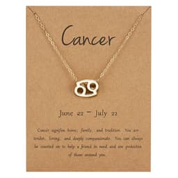 image-Cross-border hot sale personality symbol version twelve constellation alloy paper card necklace personality clavicle chain spot wholesale