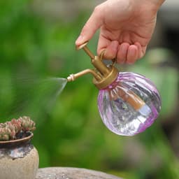 image-350ML Plant Flower Watering Pot Spray Bottle Sprayer Planting succulents Kettle for Garden Small Garden Tools Supplies