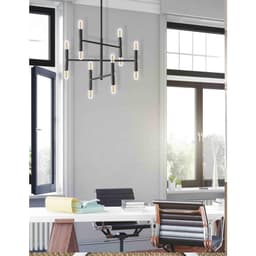 image-12LT Incandescent Chandelier, Matte Black
