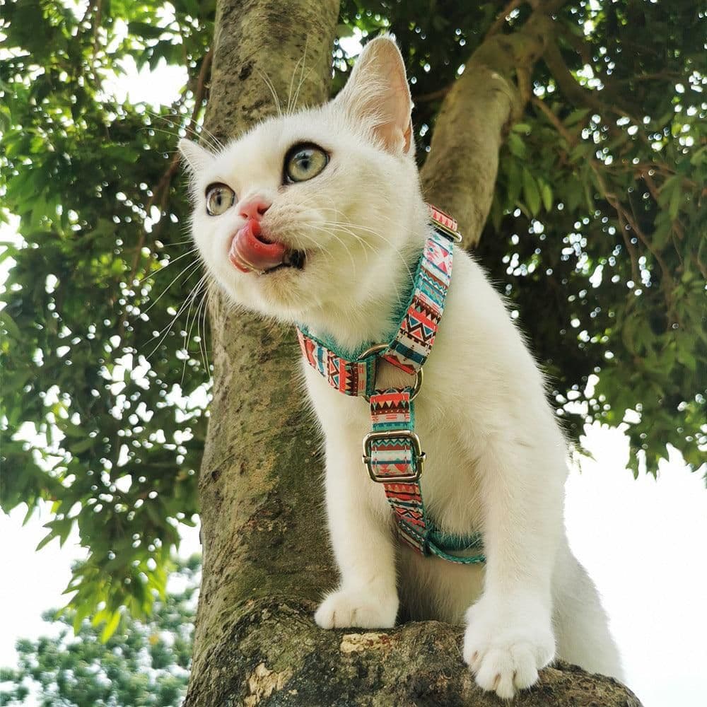 image-STEP IN BUNDLE - TROPICAL (2 PIECES)