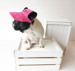 image-Pets Hat Pink