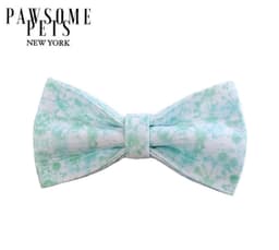 image-BOWTIE - MINT LEAF