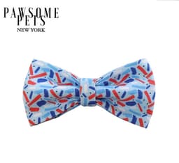 image-BOWTIE - SKY BLUE