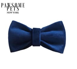 image-BOWTIE - BLUE TO BE WILD