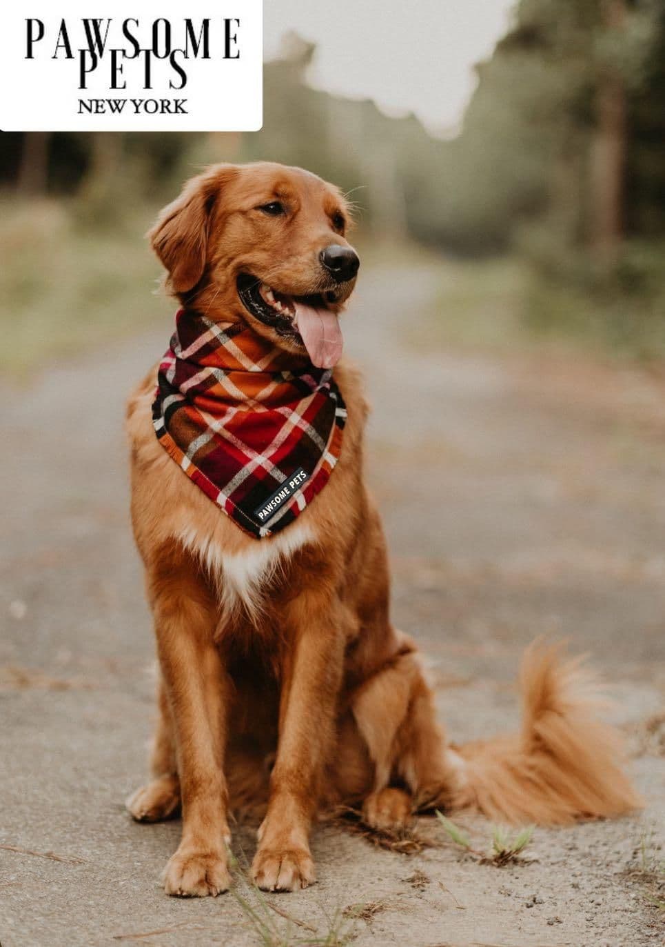 image-BANDANA - HARVEST