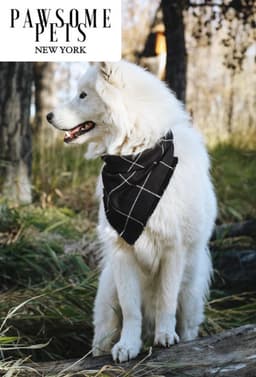 image-BANDANA - BETTY