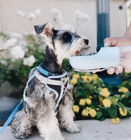 image-2 IN 1 PORTABLE PET FEEDER - LIGHT GREY