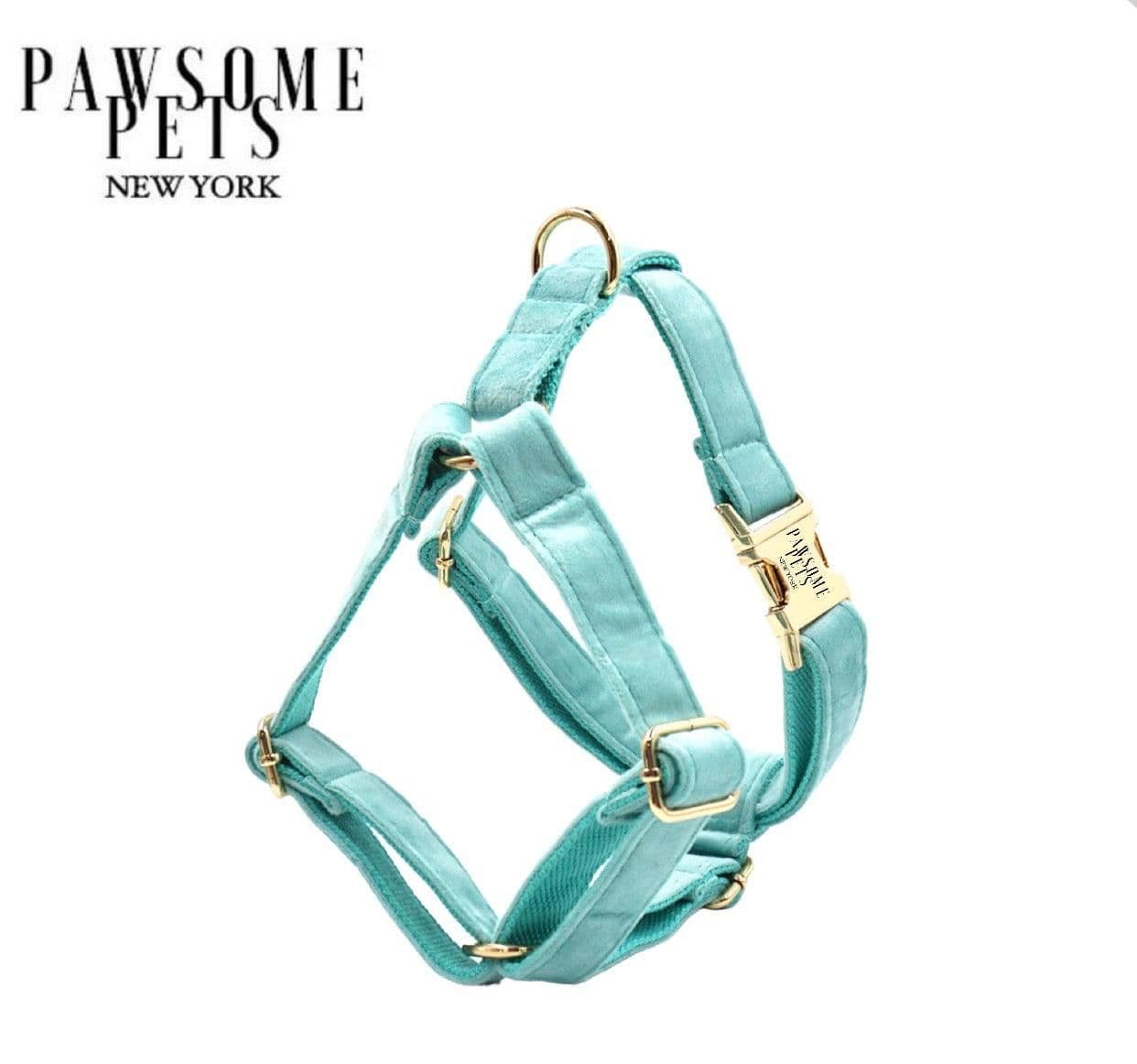image-STEP IN HARNESS - MINT GREEN