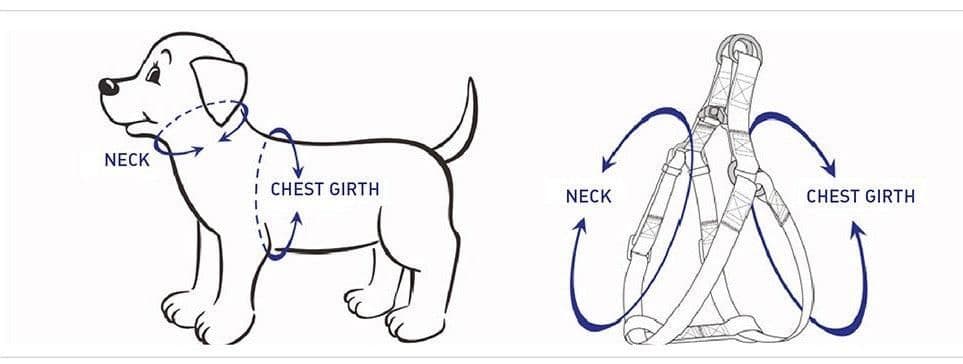 image-STEP IN HARNESS - RED