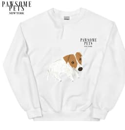 image-SWEATSHIRT - DAPPER DOGGY