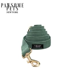 image-LEASH - OLIVE GREEN