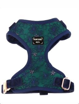 image-ADJUSTABLE HARNESS - AQUAMARINE
