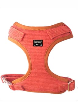 image-ADJUSTABLE HARNESS - CARROT