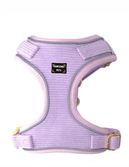 image-ADJUSTABLE HARNESS - VIOLET