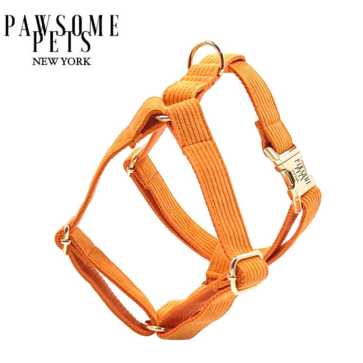 image-STEP IN HARNESS - ORANGE
