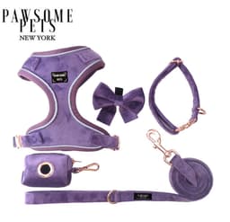 image-BUNDLE - PURPLE