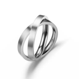 image-Cross-Border Decompression Double Ring Rotatable Ring European and American Niche Stainless Steel Couple Ring Popular Ornament Wholesale