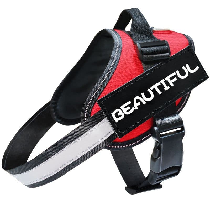 image-Cross-border pet supplies Leash Amazon hot models Reflective dog leash dog leash dog chest strap wholesale spot