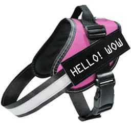 image-Cross-border pet supplies Leash Amazon hot models Reflective dog leash dog leash dog chest strap wholesale spot