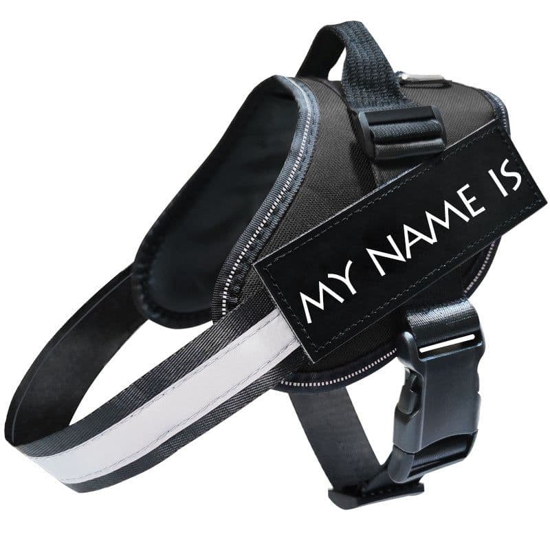 image-Cross-border pet supplies Leash Amazon hot models Reflective dog leash dog leash dog chest strap wholesale spot