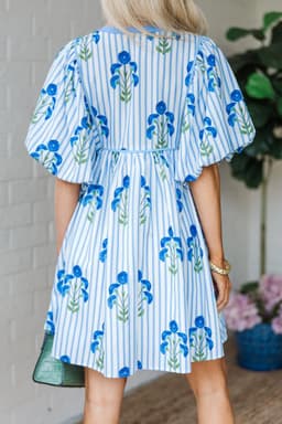 image-Sky Blue Floral Striped Print Tie Notched Neck Puff Sleeve Flared Mini Dress
