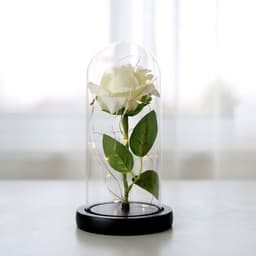 image-Simulation Rose Flower Glass Cover LED String Light Eternal Flower Glass Cover Gift Support Customized Generation