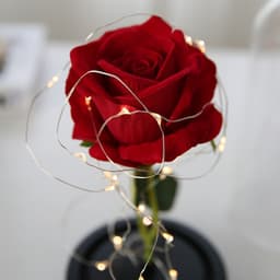 image-Simulation Rose Flower Glass Cover LED String Light Eternal Flower Glass Cover Gift Support Customized Generation