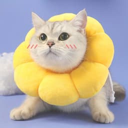 image-Cat Small Dog Recovery Collar, Cute Sunflower Neck Cone After Surgery, Adjustable Pet E Collar, Wound Healing Protective Cone Surgery Recovery Elizabethan Collars For Small Pets